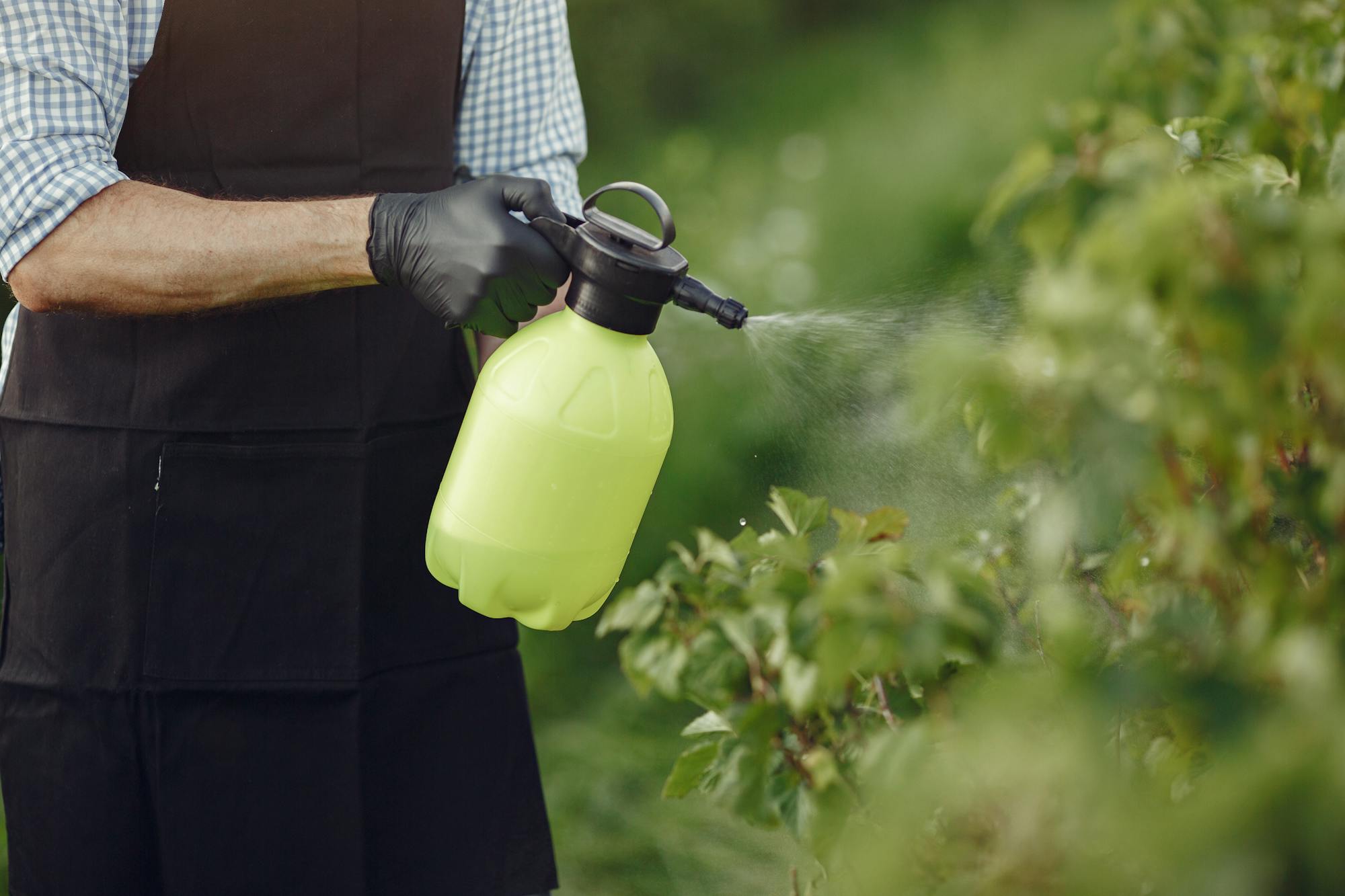 A licensed applicator in chemical-resistant gloves and apron PPE using a pump sprayer on a residential shrub — the precise application pattern visible against the green foliage. The kind of tree-and-shrub care that runs $60-$70 per residential treatment in 2026.